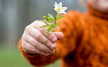 Người thầy đã truyền cảm hứng cho tôi